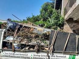 Best Recycling Services for Junk  in Gold Canyon, AZ